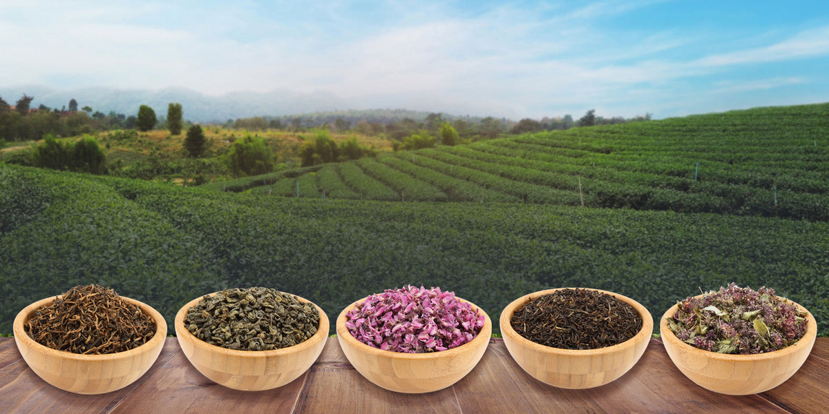Premium Wholesale Tea Supplier and Distributor | Build a Blend